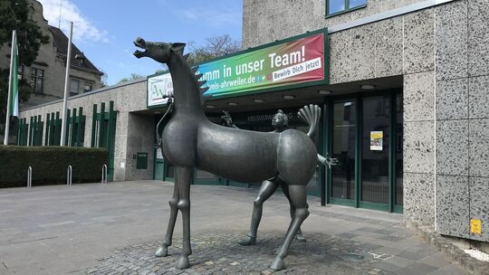 Das Kreishaus in Ahrweiler: Im Kreis Ahrweiler bleibt die Gründung eines Gewässerzweckverbandes ein anhaltendes Thema. Das Kreishaus in Ahrweiler: Im Kreis Ahrweiler bleibt die Gründung eines Gewässerzweckverbandes ein anhaltendes Thema.