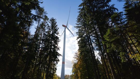 In Waldstücken entlang der A3 soll bei Dierdorf ein großer Windpark entstehen. (Symbolfoto) In Waldstücken entlang der A3 soll bei Dierdorf ein großer Windpark entstehen. (Symbolfoto)