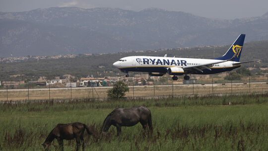 Ein Ryanair-Jet auf Mallorca - die Chancen, dass er aus dem Hunsrück kommt, stehen gar nicht so schlecht. Palma ist eines der am Ein Ryanair-Jet auf Mallorca - die Chancen, dass er aus dem Hunsrück kommt, stehen gar nicht so schlecht. Palma ist eines der am