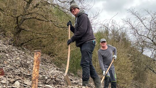 Die Buchsbäume sind zwar kahlgefressen, doch den Pfad haben die "Alten alten Herren" aus Müden wiederhergerichtet. Die Buchsbäume sind zwar kahlgefressen, doch den Pfad haben die "Alten alten Herren" aus Müden wiederhergerichtet.