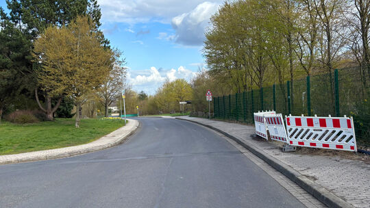 Einige Bäume stehen bereits in der Schulstraße. Auf einer Übersichtskarte ist zu sehen, wo weitere Standorte geplant sind. Einige Bäume stehen bereits in der Schulstraße. Auf einer Übersichtskarte ist zu sehen, wo weitere Standorte geplant sind.