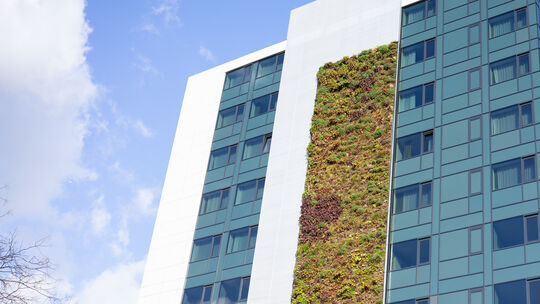 Am Hotel Premier Inn in der Koblenzer Innenstadt ist ein Teil der Fassade begrünt. In Zukunft könnte man in der Stadt mehr solch Am Hotel Premier Inn in der Koblenzer Innenstadt ist ein Teil der Fassade begrünt. In Zukunft könnte man in der Stadt mehr solch