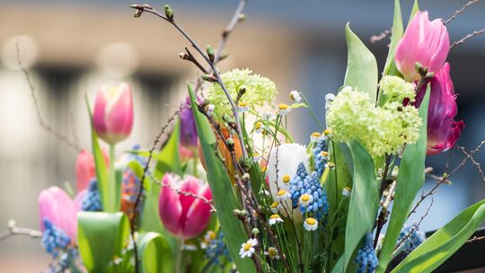 Ein bunter Frühlingsstrauß bringt frische Farben ins Zuhause und sorgt für Osterstimmung. Ein bunter Frühlingsstrauß bringt frische Farben ins Zuhause und sorgt für Osterstimmung.
