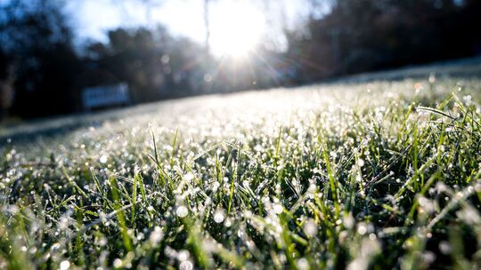 Frostiger Morgen Frostiger Morgen