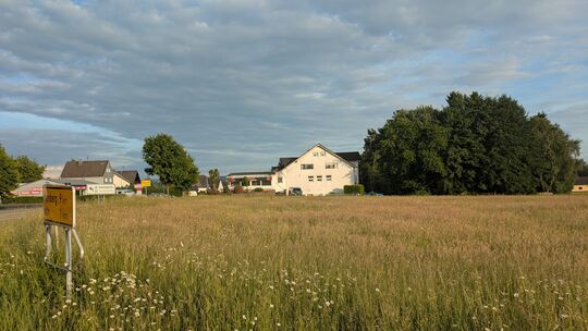 Auf dieser Wiese in Nauroth sollen in ein paar Jahren ein Einzelhandelsmarkt sowie ein Fachmarkt und ein Backshop stehen. Auf dieser Wiese in Nauroth sollen in ein paar Jahren ein Einzelhandelsmarkt sowie ein Fachmarkt und ein Backshop stehen.