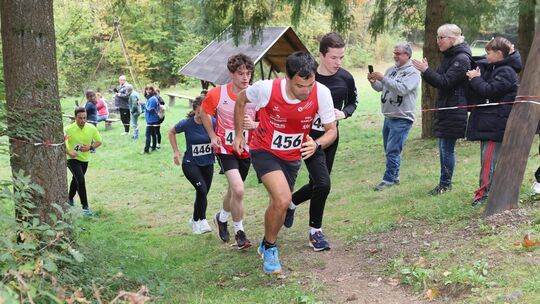Alles andere als ein Kinderspiel ist der Anstieg an Kinderspielplatz und Grillhütte vorbei beim Crosslauf des VfL Bremm, dem zwe Alles andere als ein Kinderspiel ist der Anstieg an Kinderspielplatz und Grillhütte vorbei beim Crosslauf des VfL Bremm, dem zwe