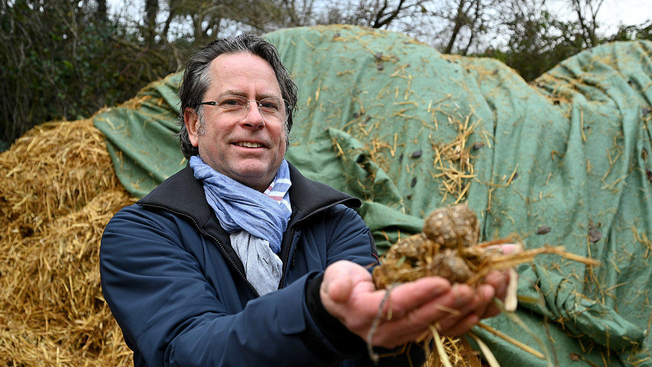 Gold Appel Trierer Reiter Wollen Pferdemist Zu Geld Machen Rheinland Pfalz Rhein Zeitung