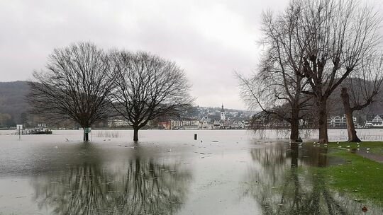 Hochwasser Bad Hönningen