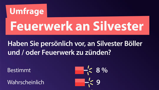 Feuerwerk an Silvester (08.11.2023)