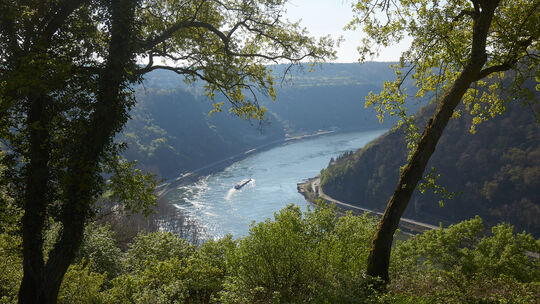 Schönheitskur für die Loreley