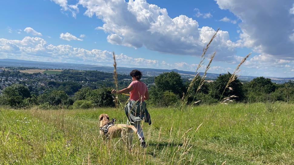 Romantisch: Wandern auf mit Blick auf das Neuwieder Becken.  Foto: ideemedia/Schöllkopf