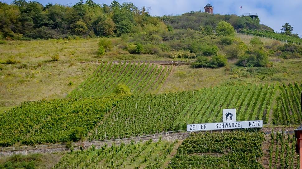 Bisher durften Weine aus der Großlage "Schwarze Katz" unter dem Namen "Zeller Schwarze Katz" vertrieben werden. Ab dem Erntejahrgang 2026 wird das vielleicht nicht mehr möglich sein. Nach einer neuen rechtlichen Regelung muss das Wort "Region" auf Weinflaschen vor den Namen einer Großlage gesetzt werden. Somit müsste es "Region Schwarze Katz" auf den Flaschen heißen. Die Stadt Zell möchte daher eine Umbenennung der Großlage in "Zeller Schwarze Katz" erreichen.