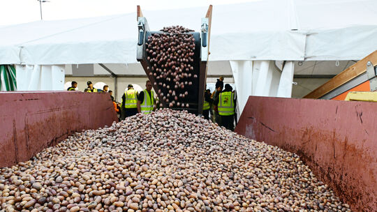 K-Lokal 18 Ringen Haribo Kastanien