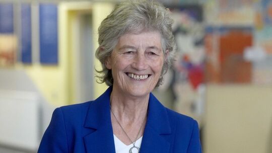 Präsidentschaftswahl in Irland Präsidentschaftswahl in Irland