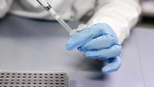 Die Proben müssen nun untersucht werden (Symbolfoto). Die Proben müssen nun untersucht werden (Symbolfoto).