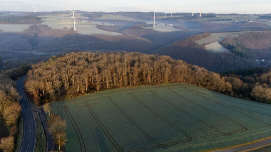 Bei Monreal (Kreis Mayen-Koblenz) wurde in einem Waldstück Ende November eine enthauptete Frauenleiche gefunden. Ein 41-jähriger Bei Monreal (Kreis Mayen-Koblenz) wurde in einem Waldstück Ende November eine enthauptete Frauenleiche gefunden. Ein 41-jähriger