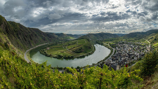 Die bekannte Lage Bremmer Calmont ist an der Mosel nicht nur für den Weinbau an sich relevant - sie lockt auch zahlreiche Touris Die bekannte Lage Bremmer Calmont ist an der Mosel nicht nur für den Weinbau an sich relevant - sie lockt auch zahlreiche Touris