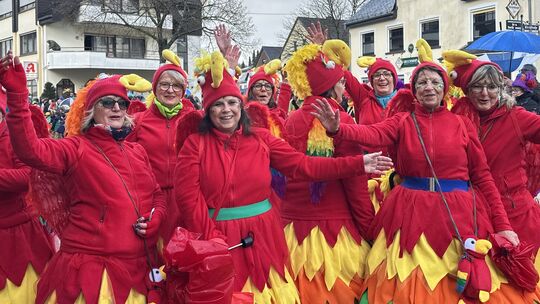 Niederelbert: Diese Möhnen von den "Fidelen Hühnern" haben sich als kunterbunte Papageien getarnt. Niederelbert: Diese Möhnen von den "Fidelen Hühnern" haben sich als kunterbunte Papageien getarnt.