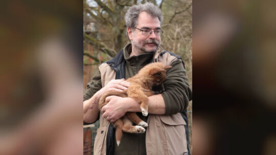 Dirk Roos, Leiter der Trumler-Station in Birken-Honigsessen, mit einem Dingo-Welpen. Dirk Roos, Leiter der Trumler-Station in Birken-Honigsessen, mit einem Dingo-Welpen.