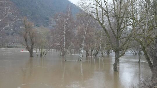 An der Mosel (hier: Dieblich) wurde der Höchststand fürs erste überschritten, ein Wiederanstieg scheint aber möglich. An der Mosel (hier: Dieblich) wurde der Höchststand fürs erste überschritten, ein Wiederanstieg scheint aber möglich.