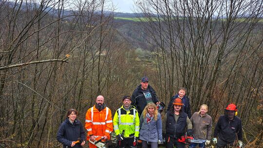 Mit Motorsäge, Astschere und Freischneider: Die fleißigen Helfer des Heimatvereins Bundenbach schneiden bei leichtem Nieselregen Mit Motorsäge, Astschere und Freischneider: Die fleißigen Helfer des Heimatvereins Bundenbach schneiden bei leichtem Nieselregen
