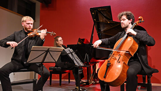 Anlässlich des Todes seiner geliebten Tochter schrieb Bedrich Smetana das ergreifende Klaviertrio, gespielt beim Konzert der Vi Anlässlich des Todes seiner geliebten Tochter schrieb Bedrich Smetana das ergreifende Klaviertrio, gespielt beim Konzert der Vi