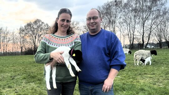 Mario ud Daniela Jung sind stolz auf ihre Dorperschafzucht. Mario ud Daniela Jung sind stolz auf ihre Dorperschafzucht.