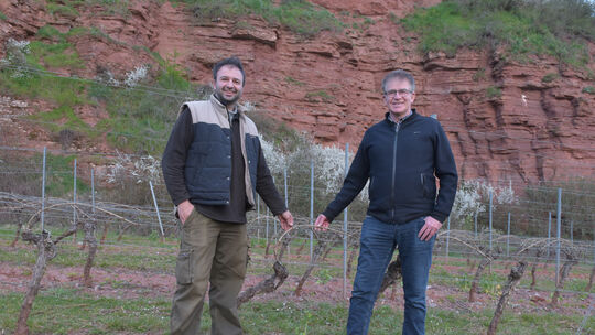 Weinbaupräsident Rainer Klöckner (rechts) und sein Stellvertreter Jakob Schneider (links), hier in einem Weinberg am Guldentaler Weinbaupräsident Rainer Klöckner (rechts) und sein Stellvertreter Jakob Schneider (links), hier in einem Weinberg am Guldentaler