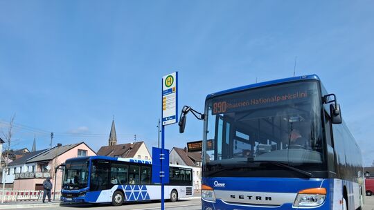 Vom neuen Busbahnhof am Talweiherplatz in Birkenfeld fahren auch im Schuljahr 2027/28 weiterhin Busse zur IGS Türkismühle. Vom neuen Busbahnhof am Talweiherplatz in Birkenfeld fahren auch im Schuljahr 2027/28 weiterhin Busse zur IGS Türkismühle.