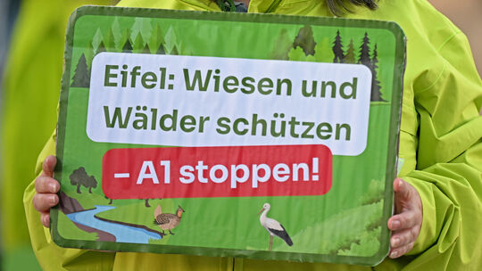 Mitglieder des BUND Rheinland-Pfalz demonstrierten vor dem Bundesverwaltungsgericht gegen den Ausbau der Autobahn A1, als dort ü Mitglieder des BUND Rheinland-Pfalz demonstrierten vor dem Bundesverwaltungsgericht gegen den Ausbau der Autobahn A1, als dort ü