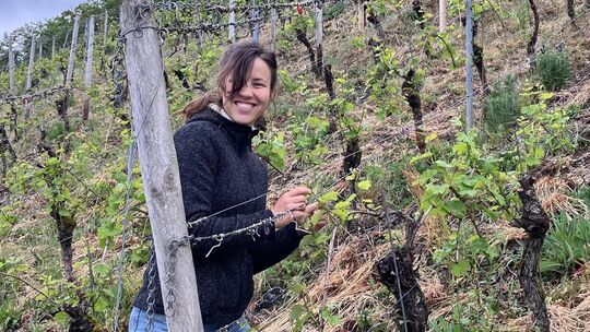 Jungwinzerin Lea Hansen bewirtschaftet für das "Bullvue" die ehemaligen Weinberge von Friedhelm Lenz. Jungwinzerin Lea Hansen bewirtschaftet für das "Bullvue" die ehemaligen Weinberge von Friedhelm Lenz.