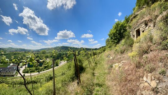 Blick aus dem Weinberg Richtung Straße nach Staudernheim, oben rechts das unscheinbare Wingertshäuschen im Disibodenberg. Blick aus dem Weinberg Richtung Straße nach Staudernheim, oben rechts das unscheinbare Wingertshäuschen im Disibodenberg.
