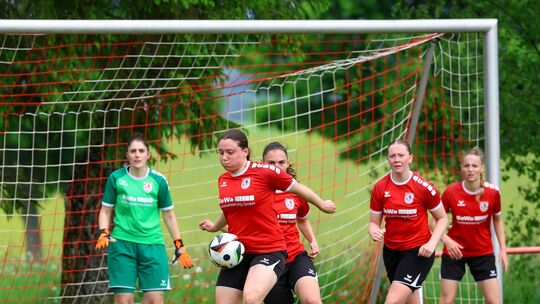 Zweimal müssen die Holzbacherinnen noch ihr Tor verteidigen und versuchen, ins gegenerische zu treffen in dieser Saison, die sie Zweimal müssen die Holzbacherinnen noch ihr Tor verteidigen und versuchen, ins gegenerische zu treffen in dieser Saison, die sie