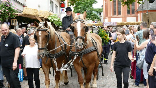2026 wird es dieses Bild auf dem Marktplatz von Heimersheim nicht geben. Das Weinfest wird in diesem Jahr in abgespeckter Form d 2026 wird es dieses Bild auf dem Marktplatz von Heimersheim nicht geben. Das Weinfest wird in diesem Jahr in abgespeckter Form d