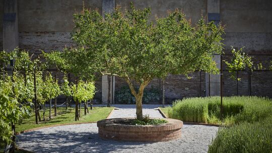 Einer der schönsten Spielorte der Kunstbiennale 2026 in Venedig: In einem Karmeliter-Kloster unweit des Inselbahnhofs Santa Luci Einer der schönsten Spielorte der Kunstbiennale 2026 in Venedig: In einem Karmeliter-Kloster unweit des Inselbahnhofs Santa Luci