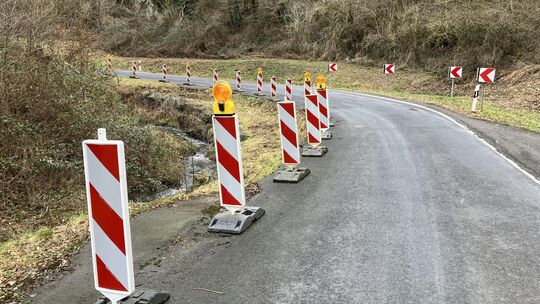 Baken gehören seit zehn Jahren zum gewohnten Bild auf der L334 und sind jetzt Namensgeber für ein trauriges "Fest". Baken gehören seit zehn Jahren zum gewohnten Bild auf der L334 und sind jetzt Namensgeber für ein trauriges "Fest".