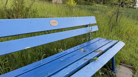 Die blaue Bank, aufgestellt von der FWG Kettig, wird im Ort rege genutzt. Schon mehrmals wurde sie in den vergangenen Monaten an Die blaue Bank, aufgestellt von der FWG Kettig, wird im Ort rege genutzt. Schon mehrmals wurde sie in den vergangenen Monaten an
