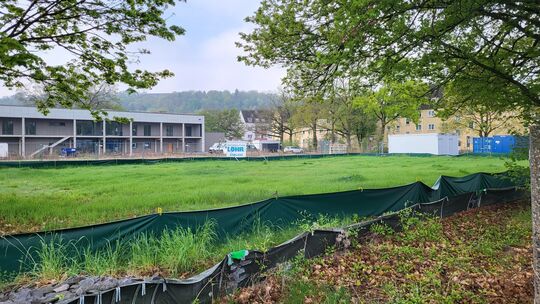 In der Koblenzer Goldgrube soll auf dieser Fläche der neue Interimsbau für das Max-von-Laue-Gymnasium entstehen. In der Koblenzer Goldgrube soll auf dieser Fläche der neue Interimsbau für das Max-von-Laue-Gymnasium entstehen.