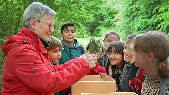 Anita Stilz, Büroleiterin im Forstamt Simmern erläuterte an ihrer Station den Kindern der Klasse 3 der Grundschule Zell das unte Anita Stilz, Büroleiterin im Forstamt Simmern erläuterte an ihrer Station den Kindern der Klasse 3 der Grundschule Zell das unte