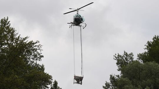Stechmückenbekämpfung Stechmückenbekämpfung