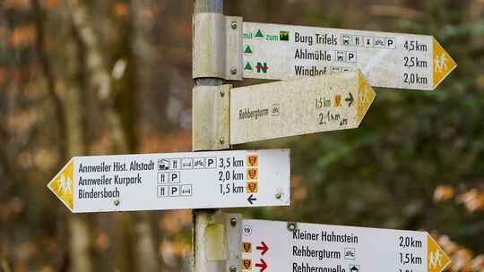 Wanderwege im Pfälzerwald Wanderwege im Pfälzerwald