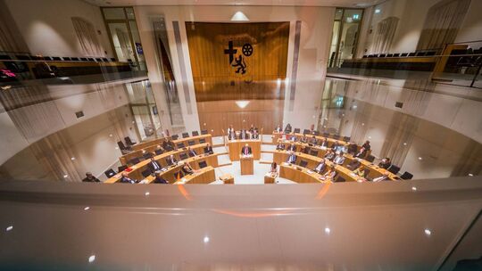 Drei Fachausschüsse im rheinland-pfälzischen Landtag stehen der AfD aufgrund ihres Wahlergebnisses zu. Drei Fachausschüsse im rheinland-pfälzischen Landtag stehen der AfD aufgrund ihres Wahlergebnisses zu.