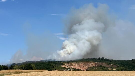 Der Waldbrand bei Traisen hat das Thema "Kampfmittel" in die Medien gebracht und in Traisen wird nun eine wertmindernde Entwick Der Waldbrand bei Traisen hat das Thema "Kampfmittel" in die Medien gebracht und in Traisen wird nun eine wertmindernde Entwick