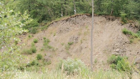 Wenn der Hang bei Müsch in die Ahr rutscht, droht das nebenliegende Dorf überschwemmt zu werden. Die SGD Nord teilt allerdings m Wenn der Hang bei Müsch in die Ahr rutscht, droht das nebenliegende Dorf überschwemmt zu werden. Die SGD Nord teilt allerdings m