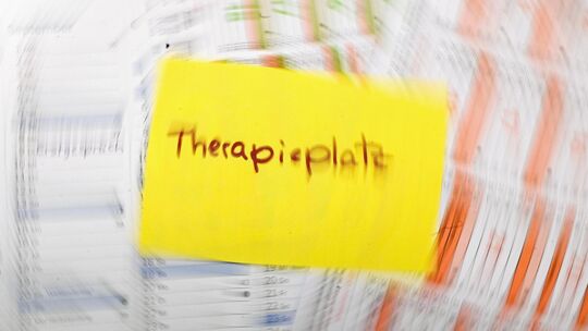 Wird es künftig für psychisch belastete Menschen noch schwerer, einen Therapieplatz zu finden? Das zumindest befürchtet die Land Wird es künftig für psychisch belastete Menschen noch schwerer, einen Therapieplatz zu finden? Das zumindest befürchtet die Land