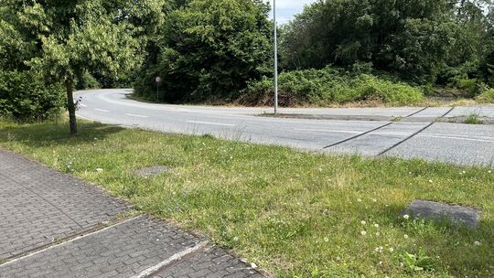 Mit seiner Klage wollte die EVG die Sperrung und Beseitigung der Querung der Bahntrasse mit der Brauereistraße erreichen. Mit seiner Klage wollte die EVG die Sperrung und Beseitigung der Querung der Bahntrasse mit der Brauereistraße erreichen.