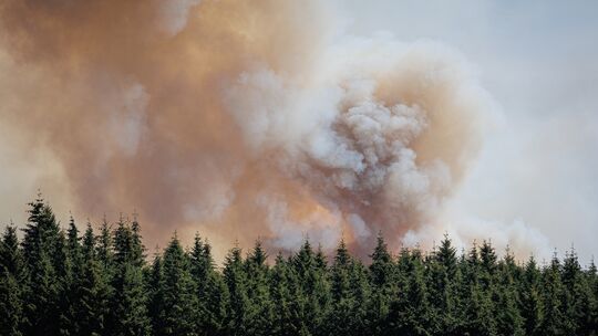 Dicke Rauchwolken stehen über dem Wald bei Langscheid in der Verbandsgemeinde Vordereifel. Dicke Rauchwolken stehen über dem Wald bei Langscheid in der Verbandsgemeinde Vordereifel.