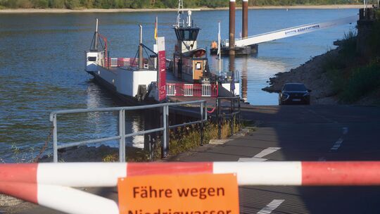 Die Rheinfähre bei Kaub hat wegen des Niedrigwassers vorerst den Bedtrieb eingestellt. Der Pegelstand am Freitagmittag: sieben Z Die Rheinfähre bei Kaub hat wegen des Niedrigwassers vorerst den Bedtrieb eingestellt. Der Pegelstand am Freitagmittag: sieben Z