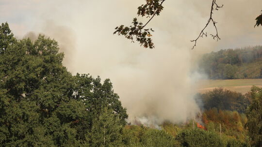 Ein Flächenbrand in Gebhardshain fordert ein Großaufgebot der Feuerwehren. Ein Flächenbrand in Gebhardshain fordert ein Großaufgebot der Feuerwehren.