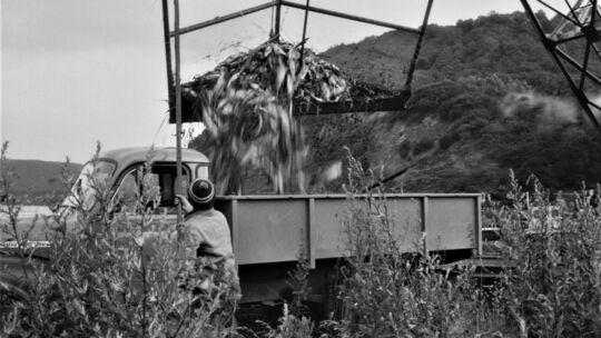 Recherchen unserer Redaktion ergaben: Nicht nur 1976 gab es ein großes Fischsterben in der Mosel, sondern auch schon im Sommer 1 Recherchen unserer Redaktion ergaben: Nicht nur 1976 gab es ein großes Fischsterben in der Mosel, sondern auch schon im Sommer 1